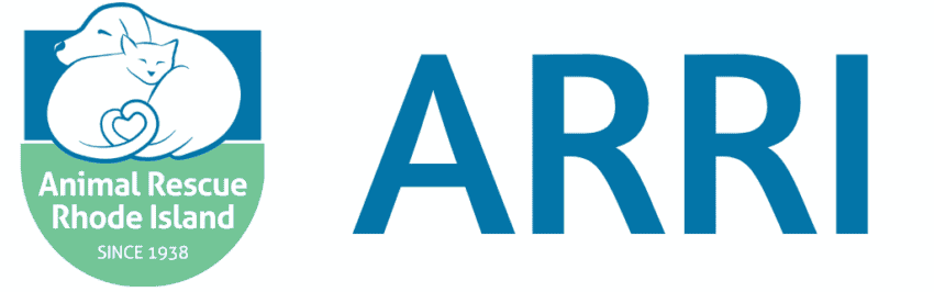 Large ARRI website banner 2048x332 1 e1719360736231